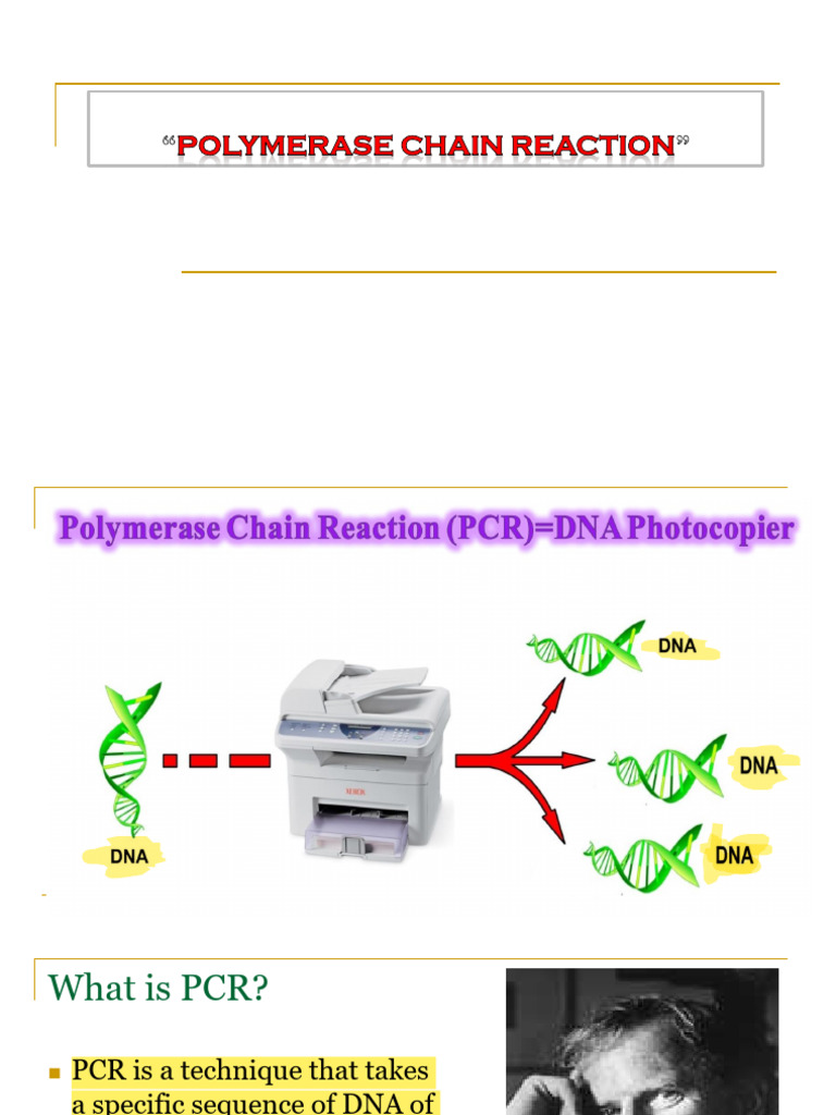 Understanding Polymerase Chain Reaction | PDF | Polymerase Chain ...