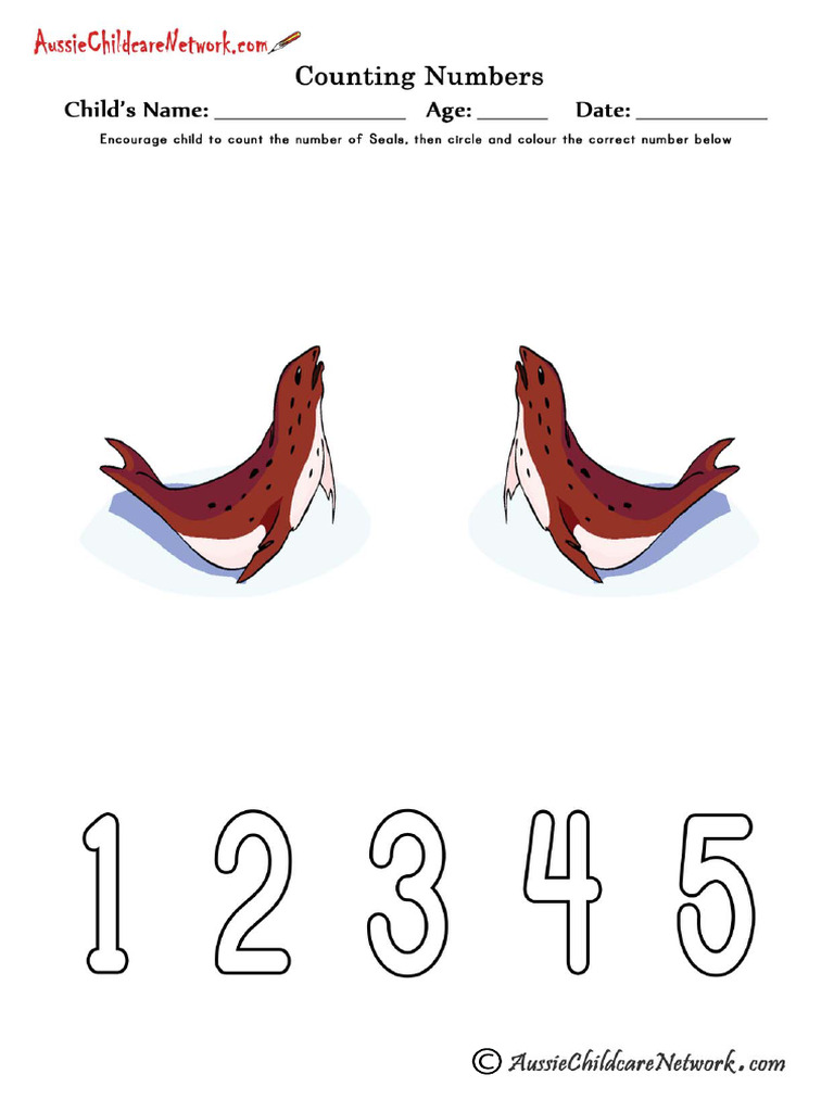 Counting Numbers 2 4 | PDF
