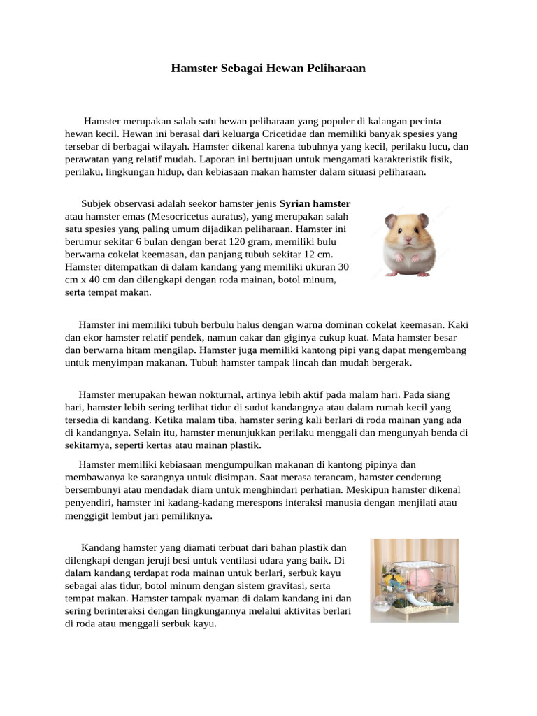 Karakteristik dan Perawatan Hamster | PDF