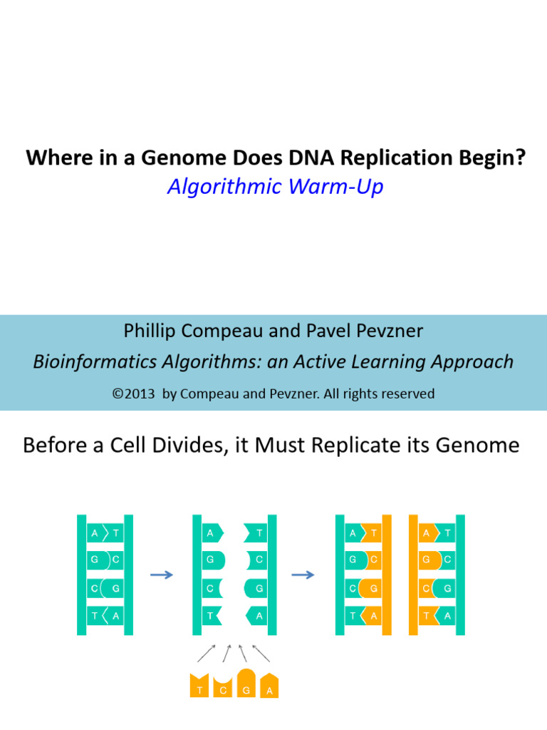 DNA Replication Origin Discovery | PDF | Base Pair | Dna Replication