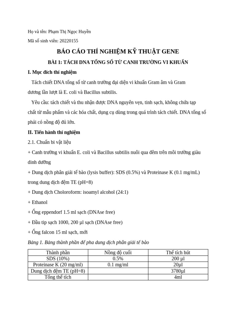 TN KTG | PDF
