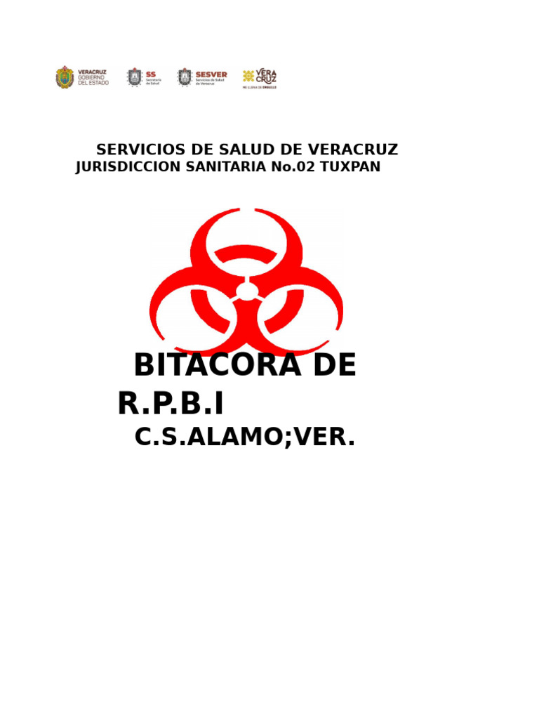 1. Bitácora de RPBI 2019 | PDF