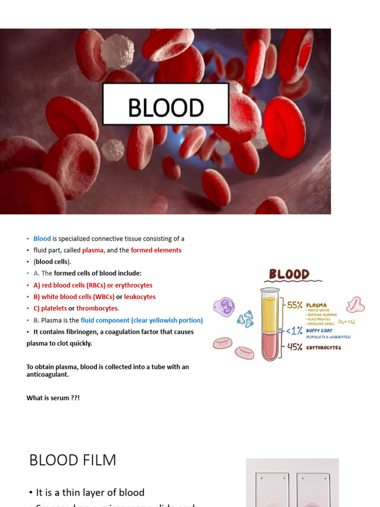Blood Components and Film Preparation Guide | PDF | White Blood Cell ...