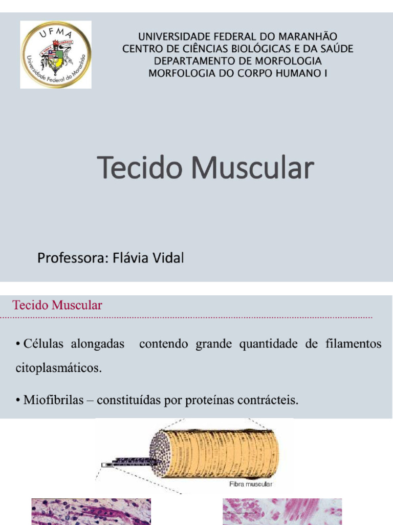 Tecido Muscular | PDF