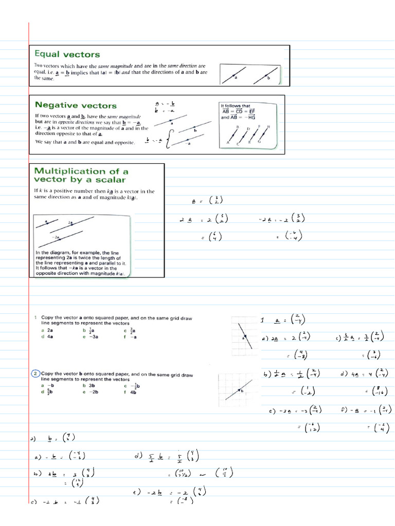 Vectors - Equal - Negative and Multiplication by A Scalar | PDF
