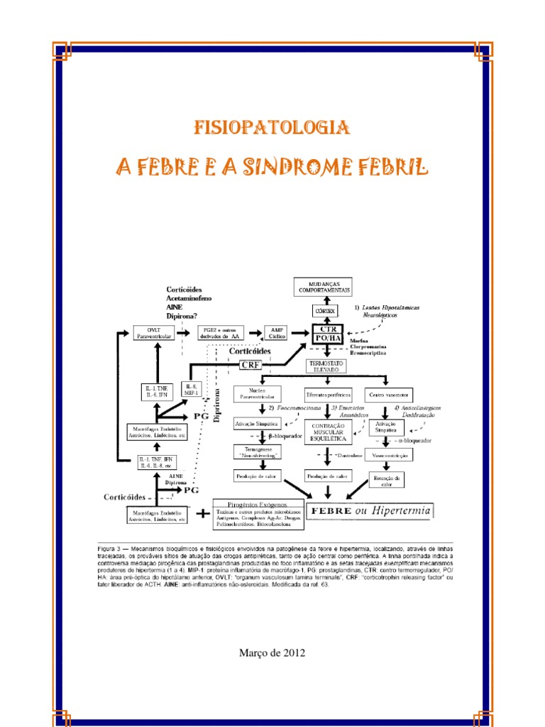 Fisiopatologia da Febre e Síndrome Febril | PDF | Febre | Medicina Clínica