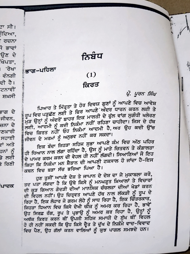 Punjabi Nibandh | PDF