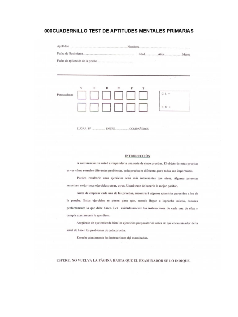 Cuadernillo Test de Aptitudes Mentales Primarias | PDF