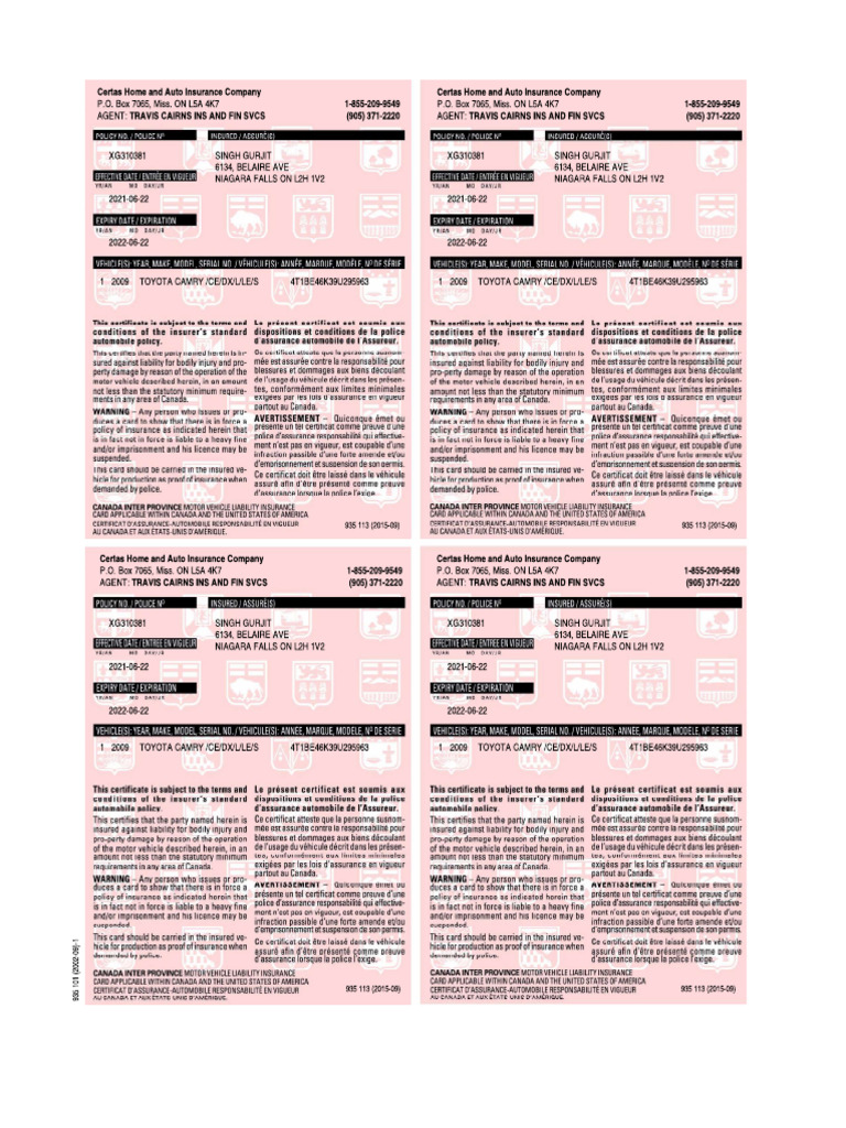 Pink Slip | PDF