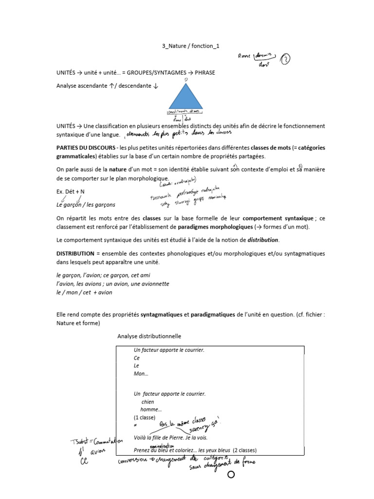 Analyse des unités syntaxiques en langue | PDF | Morphologie ...