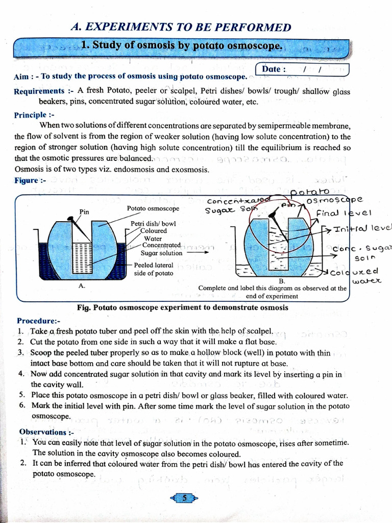 12th Practical Bio | PDF