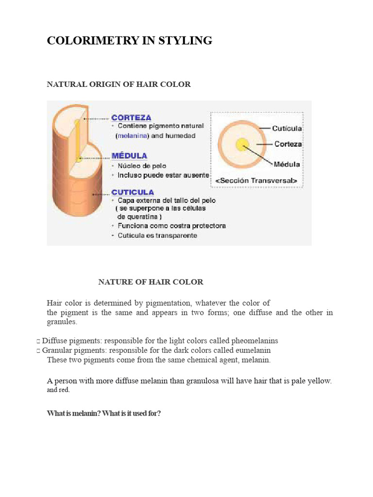 Understanding Hair Color and Colorimetry | PDF | Color | Vision