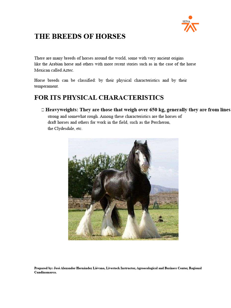 Overview of Horse Breeds and Types | PDF | Horses | Pony