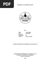 Download PEMERIKSAAN METHEMOGLOBIN lita by Anna Yulita SN92763466 doc pdf