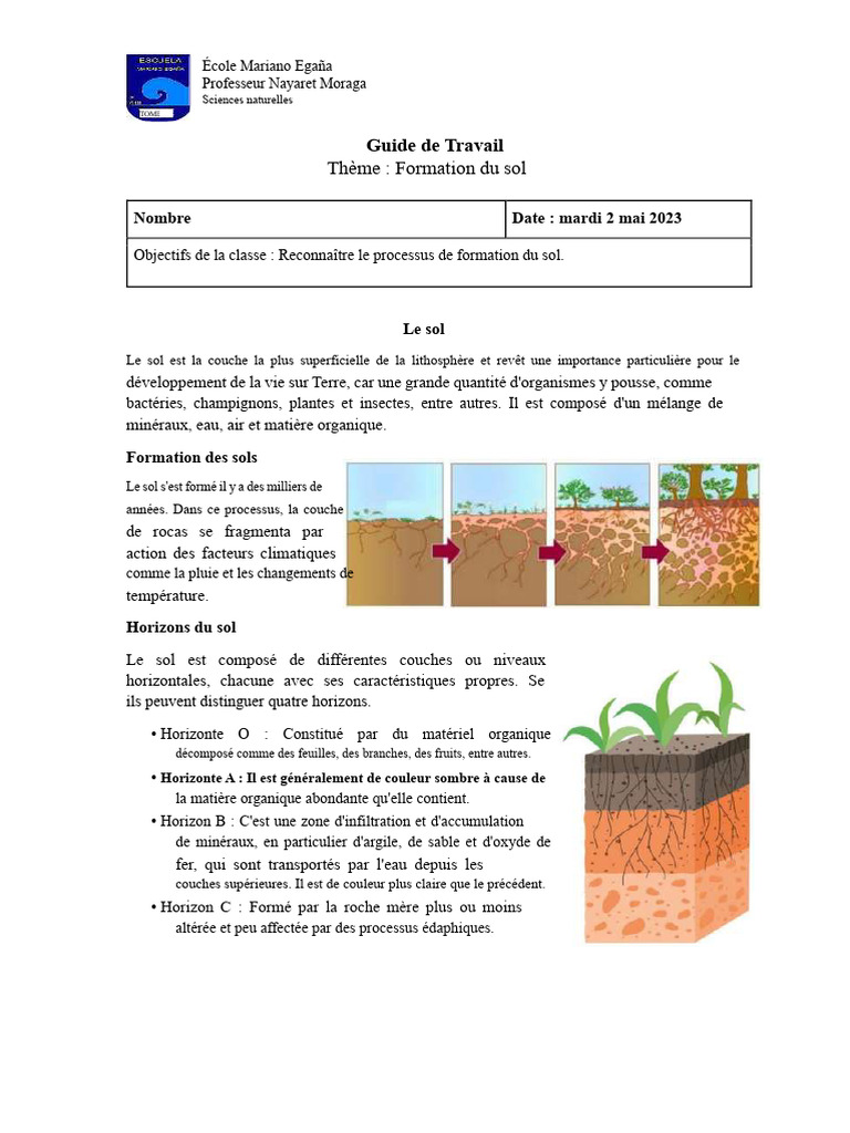 Formation et types de sols expliqués | PDF | Sol (pédologie) | Porosité