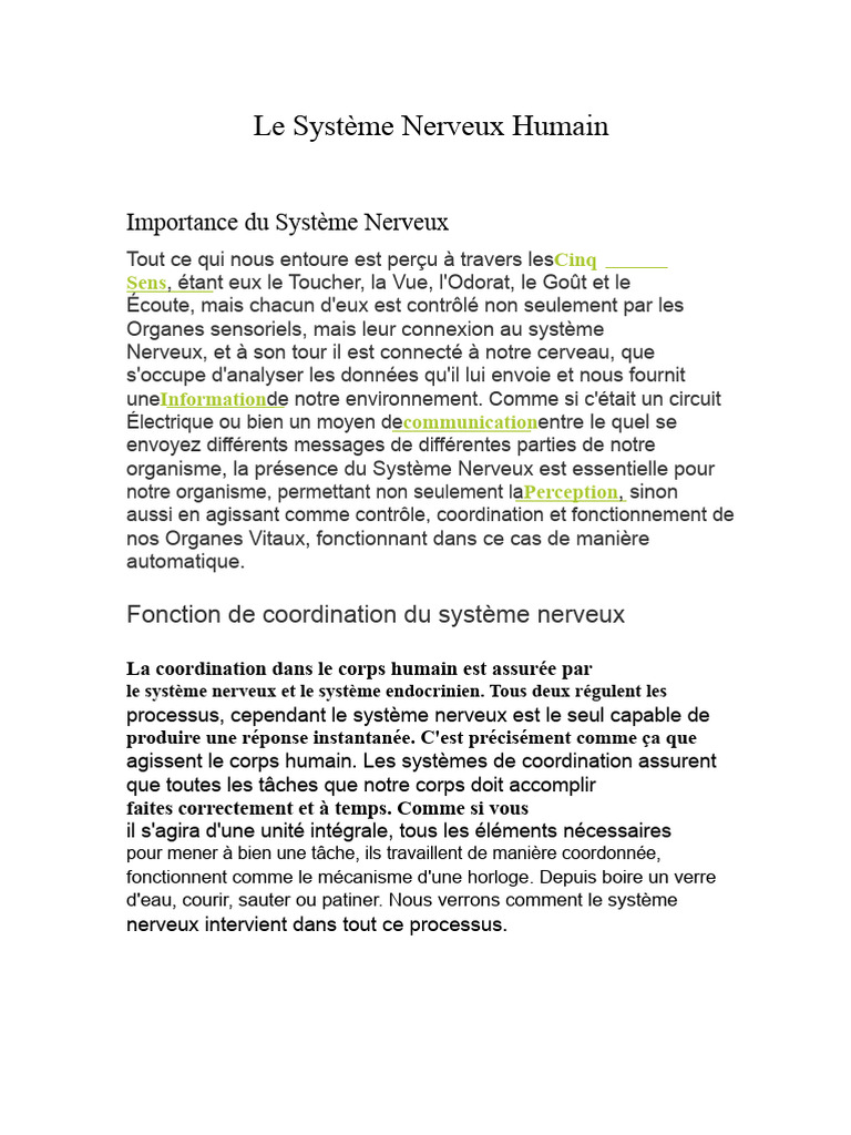 Comprendre le Système Nerveux Humain | PDF | Cerveau | Système nerveux