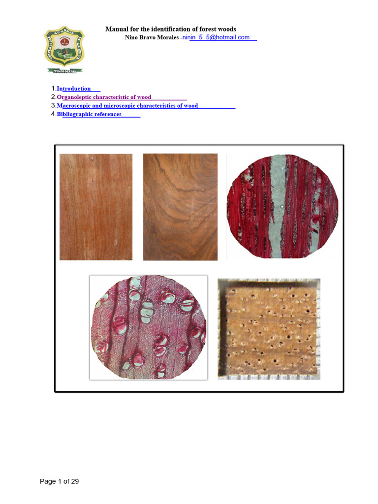Forest Wood Identification Manual | PDF | Wood | Plant Stem