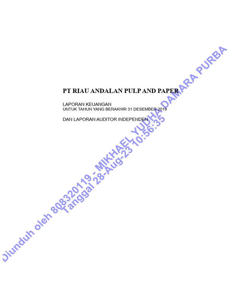 Financial Report RAPP 2019 | PDF