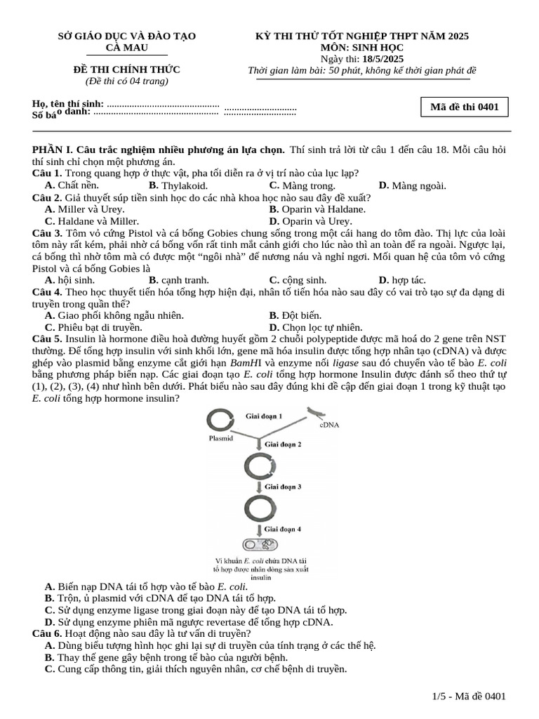 0401 - S Cà Mau - Thi TH 2025 | PDF