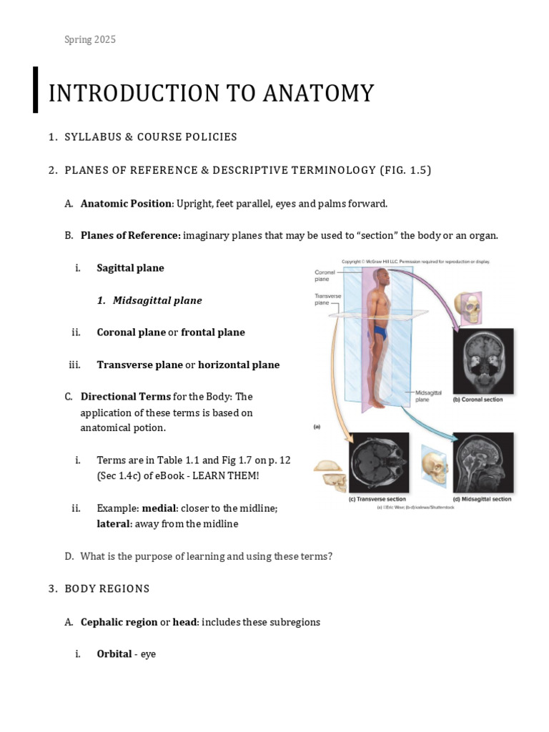 01 IntroductionOutline-SP25 | PDF | Anatomical Terms Of Location ...