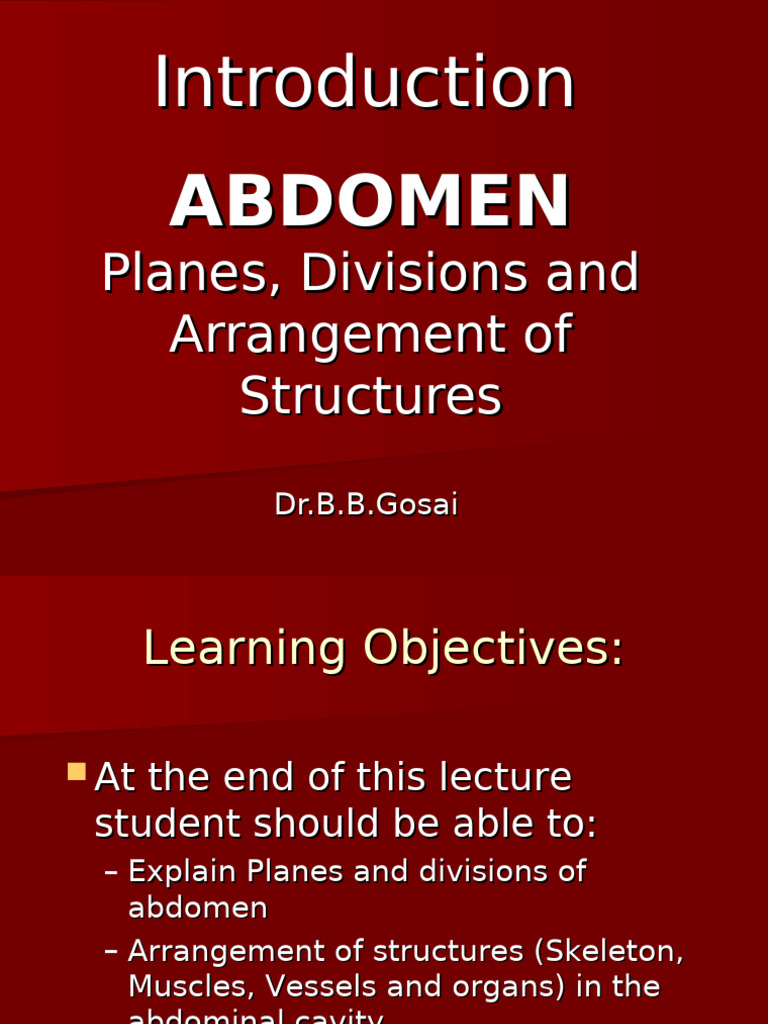 Abdomen Anatomy General Medicine Presentation | PDF | Abdomen | Pelvis