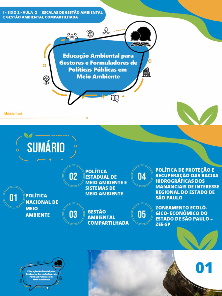 Gestão Ambiental e Políticas em SP | PDF | Gestão de recursos ...