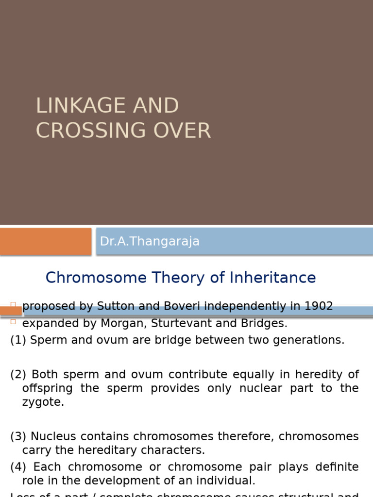 4a Linkage Crossing Over GM | PDF | Genetic Linkage | Meiosis
