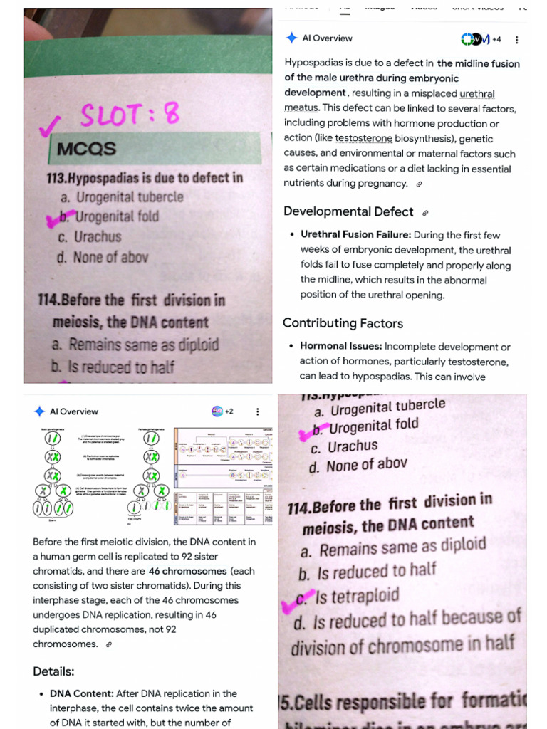 Slot8 Embryo | PDF