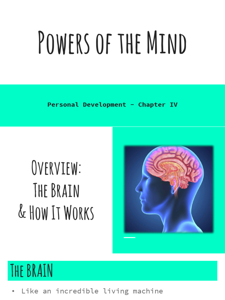 Understanding Brain Functions and Creativity | PDF | Thought | Creativity