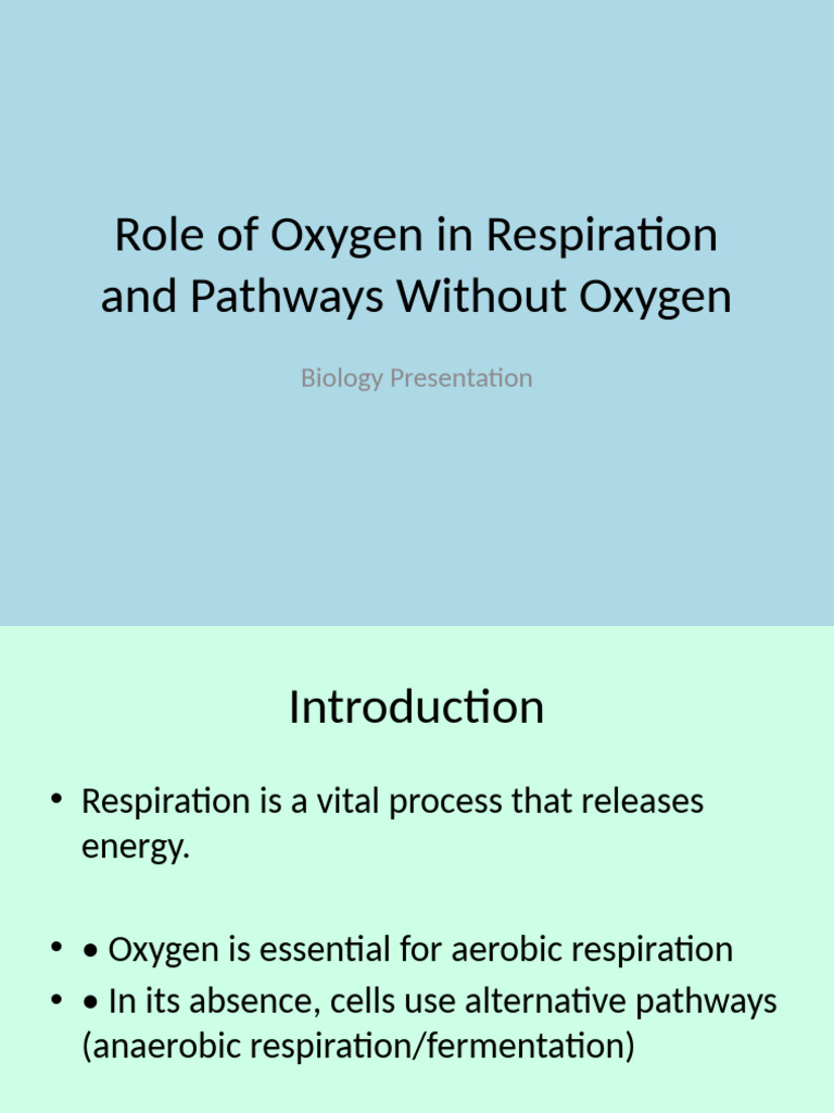 Role of Oxygen in Respiration Designed | PDF