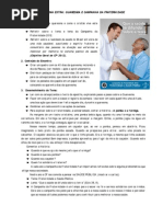 Alicerce Catequista Apostila 2012 a Fraternidade