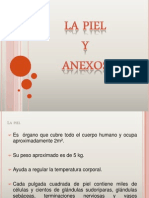 La Piel y Anexos