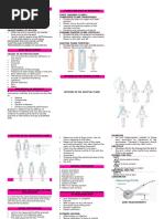 Upper Limb Normal ROM Values | PDF