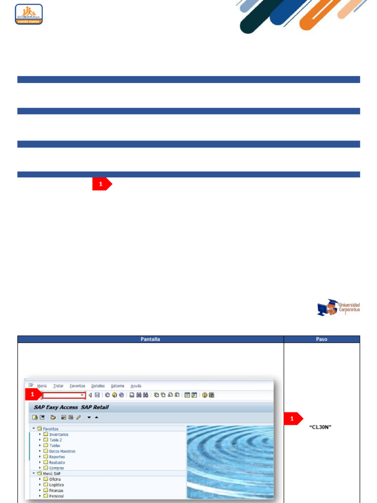 Guía CL30N: Reporte de Artículos SAP | PDF | Botón (Computación) | Software