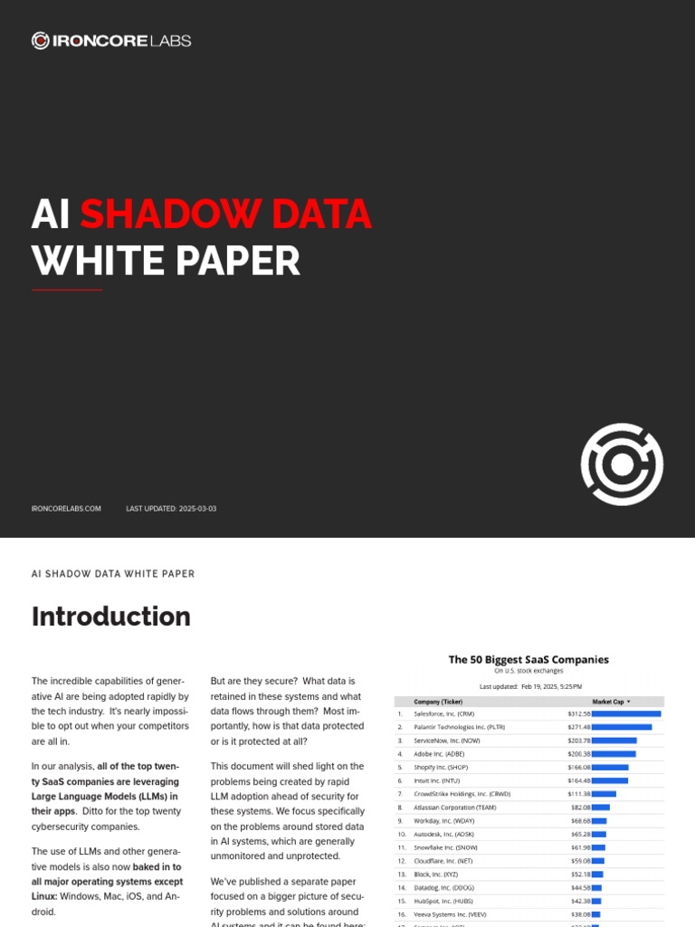 Understanding AI Shadow Data Risks | PDF | Computing | Information Science