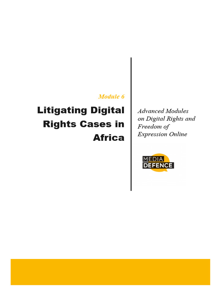 Litigating Digital Rights in Africa | PDF | Amicus Curiae | Defamation