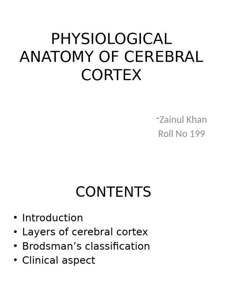 PHYSIOLOGICAL ANATOMY OF CEREBRAL CORTEX | PDF