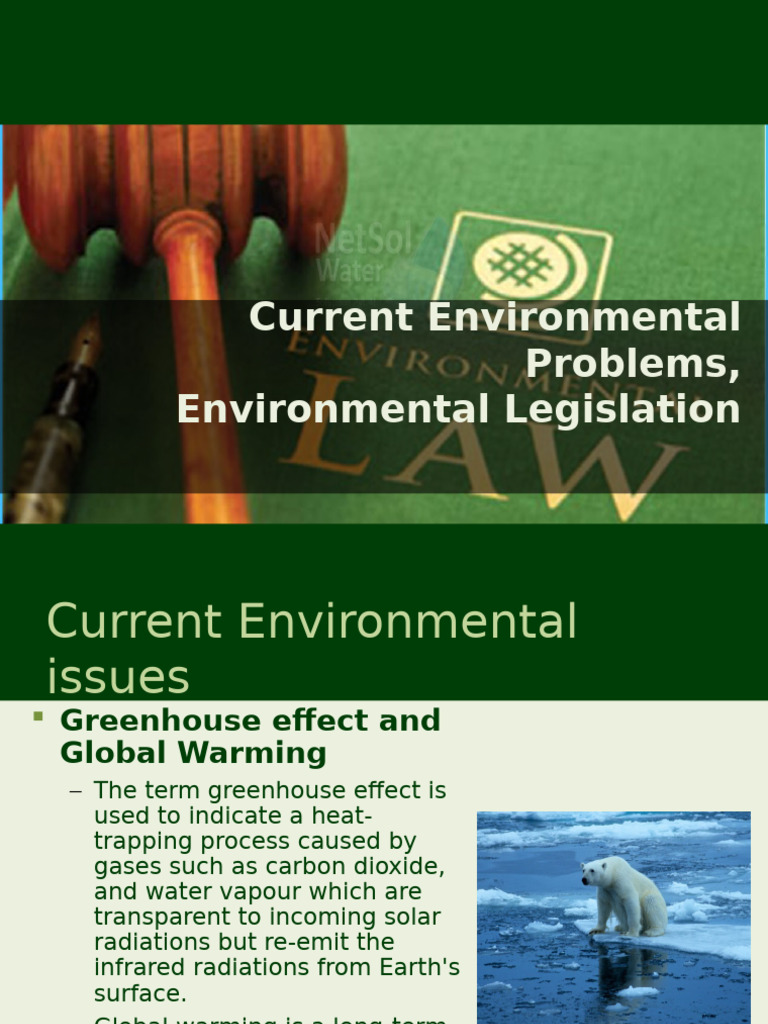 Current Environmental Issues Overview | PDF | Greenhouse Effect ...