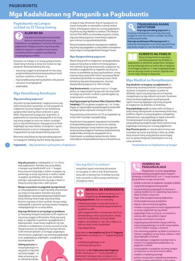 BBC Risk Factors TL | PDF