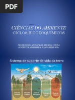 AULA.6 .Ciências do Ambiente.2012.1  (1)