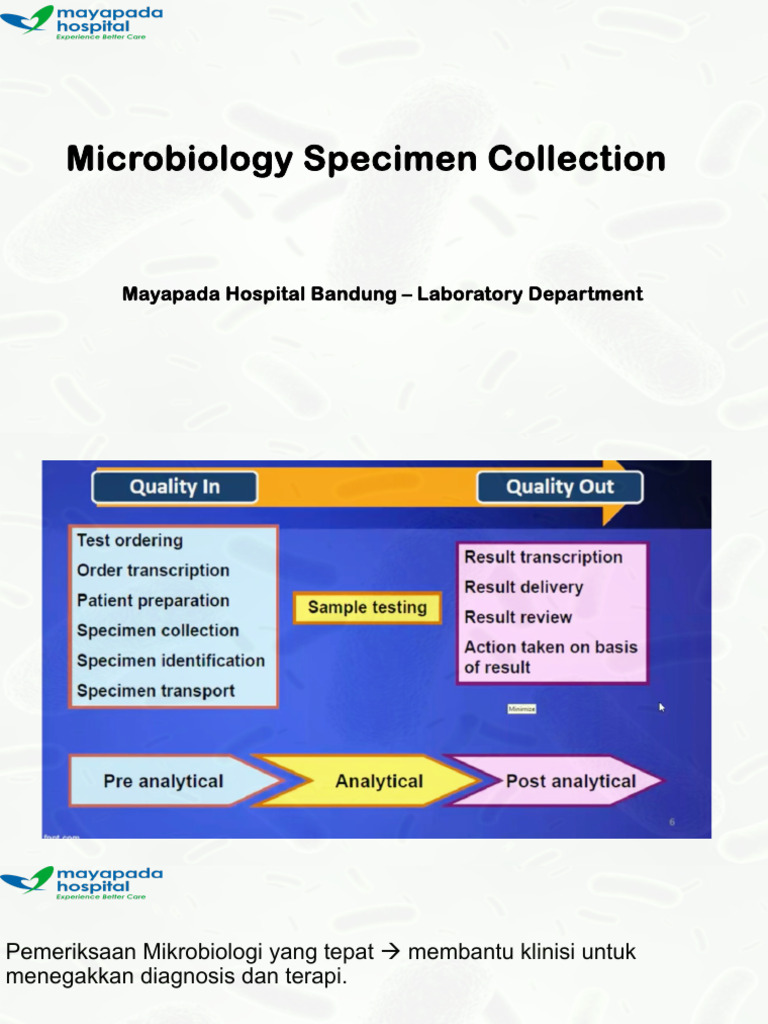 Sample Collection Micro RR | PDF