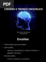 CÉREBRO E TRONCO ENCEFÁLICO 2