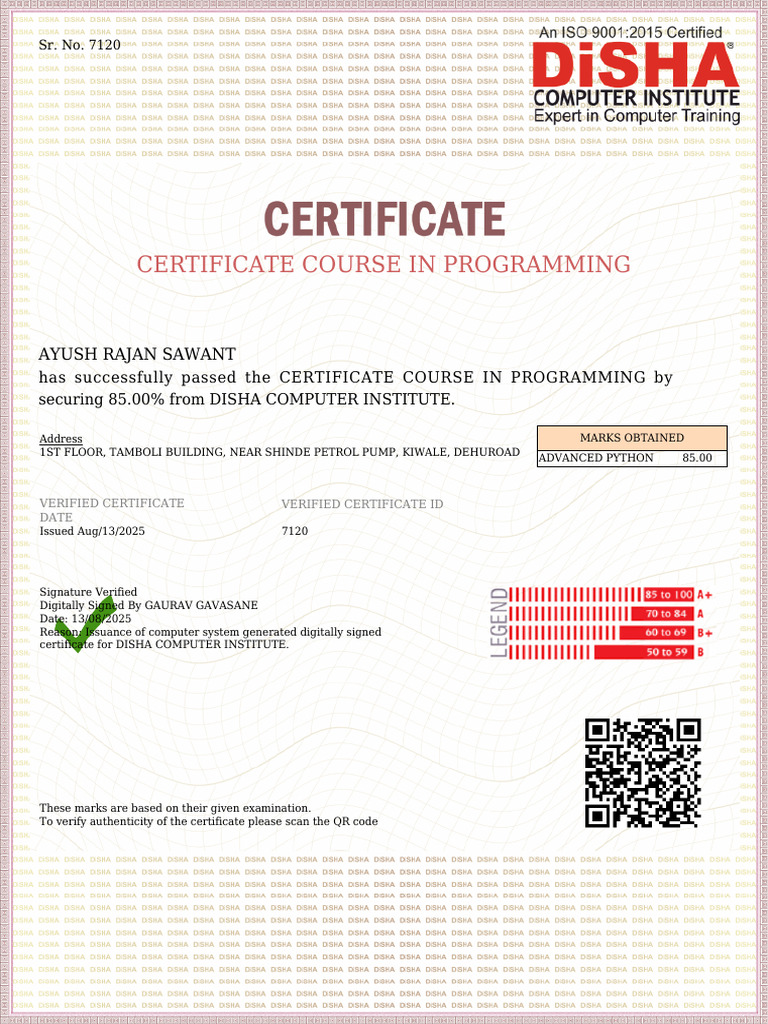 Certificate in Programming - 85% Achieved | PDF