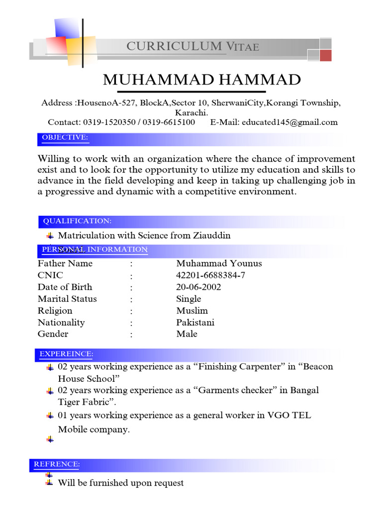 Muhammad Hammad's CV and Work Experience | PDF