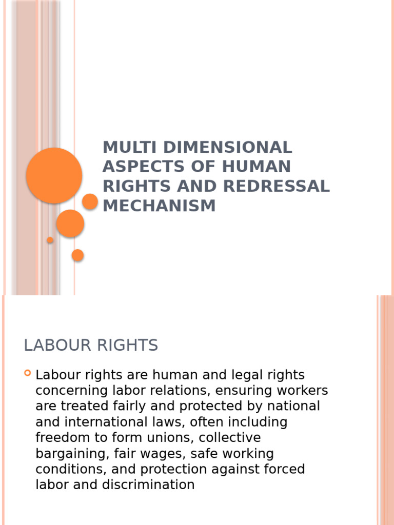 Labour Rights and Redress Mechanisms | PDF | Economies | Social Policy
