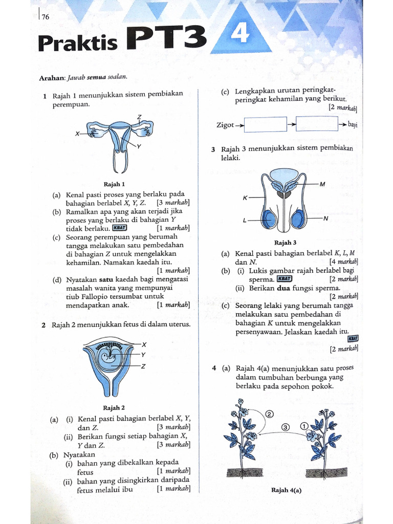 Form 1 Chapter 4 SC | PDF
