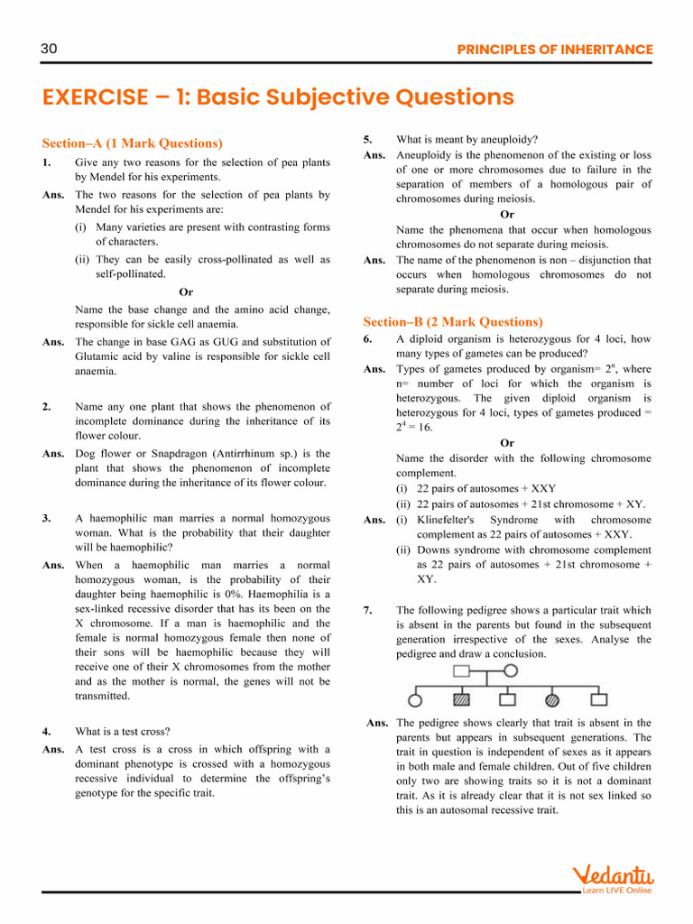 Ex - 1 (Question+ Solution File) | PDF