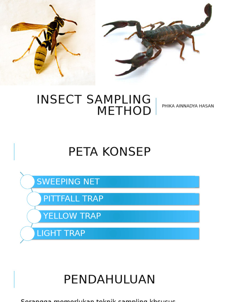 Insect Sampling Methods Overview | PDF | Sampling (Statistics)
