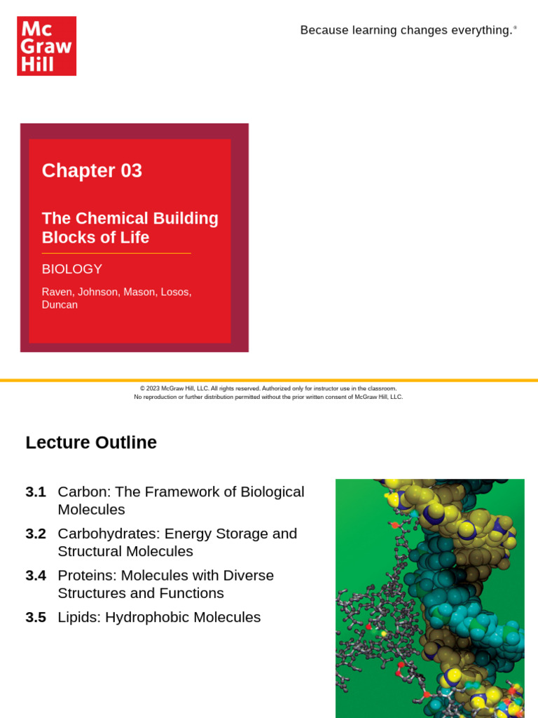Raven Biology Ch03 PPT Accessible | PDF | Protein Structure | Carbohydrates