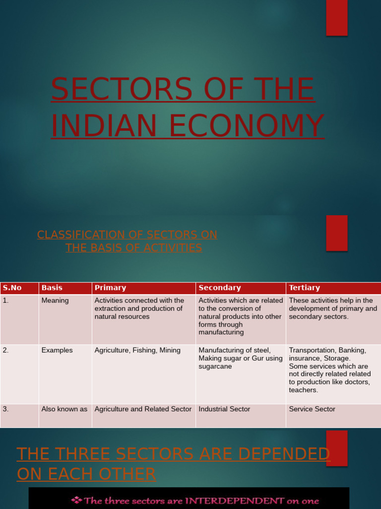 Sectors of the Indian Economy Explained | PDF | Employment | Gross ...